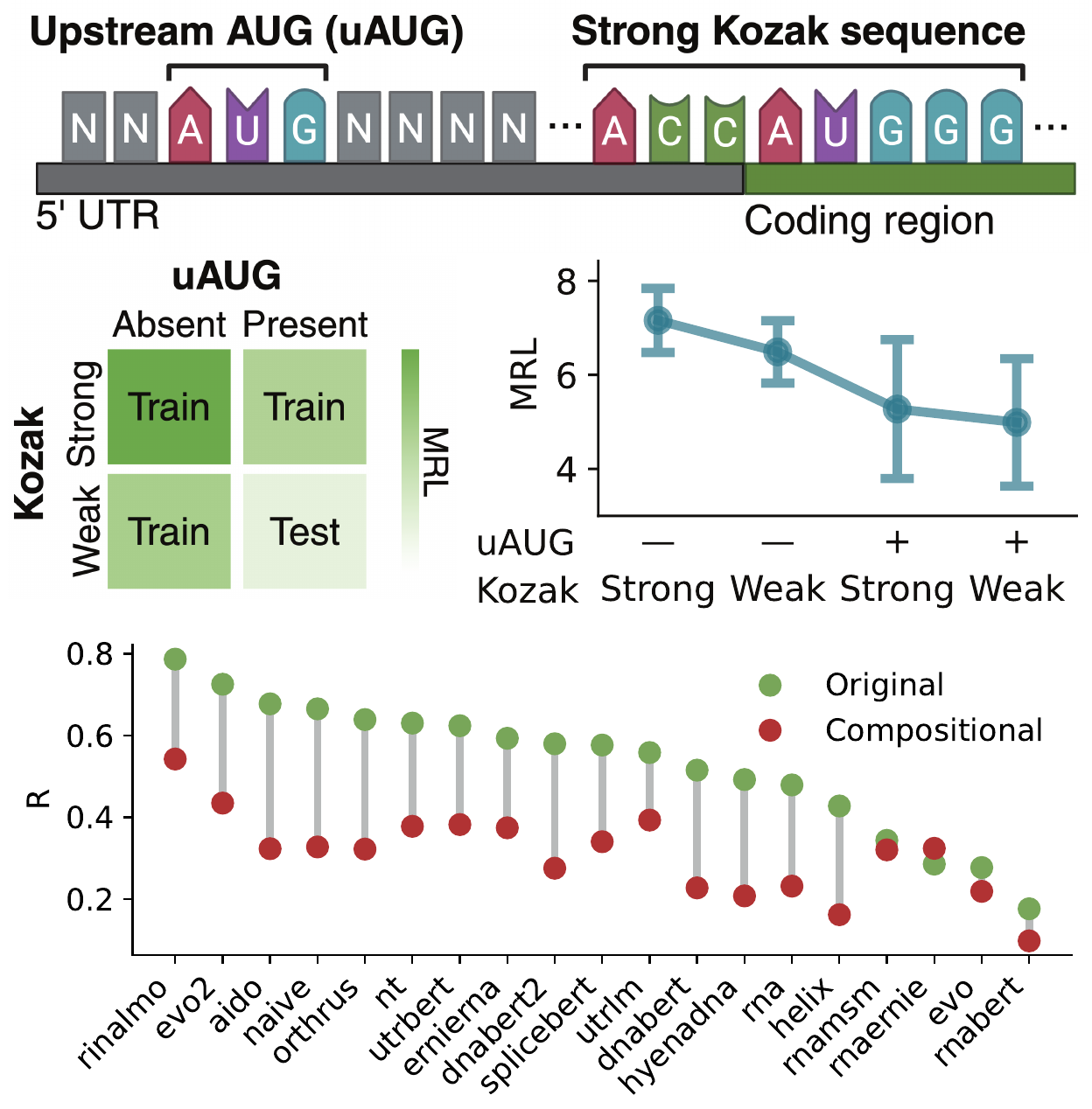 Dumbbell plot of Pearson r for about 20 probes, random split versus compositional split, with most models dropping
