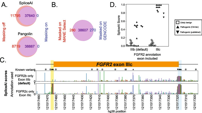 Smith and Kitzman Figure 6: Venn diagrams of background variants called disruptive with masking off versus on for SpliceAI and Pangolin, a Venn diagram for Pangolin with MANE Select versus GENCODE annotation, and SpliceAI tracks for FGFR2 exon IIIc under two annotations