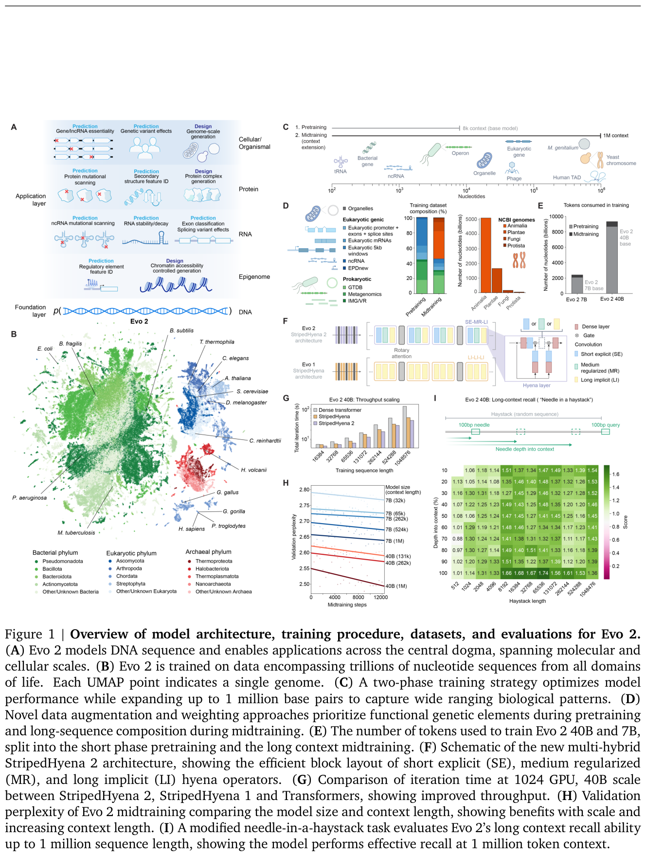 Figure 6: Evo 2 overview: StripedHyena 2 hybrid blocks, the OpenGenome2 data composition spanning all domains of life, throughput scaling, and the 1-million-token context recall test.