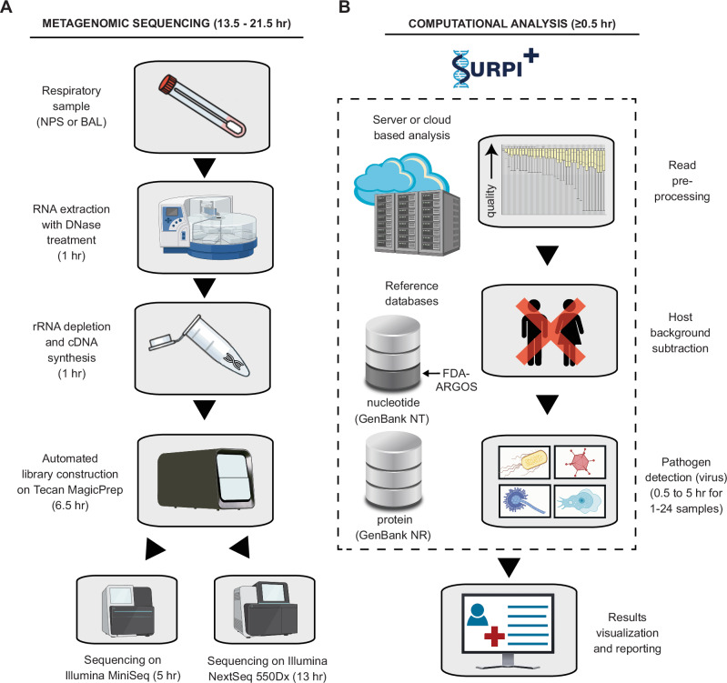 Two-panel schematic from Tan et al. Panel A shows the wet-lab steps of the UCSF assay with times: RNA extraction with DNase, rRNA depletion and cDNA synthesis, automated library construction, and Illumina MiniSeq or NextSeq sequencing. Panel B shows SURPI+ analysis: read pre-processing, host subtraction, pathogen detection against GenBank nucleotide and protein databases, and reporting.