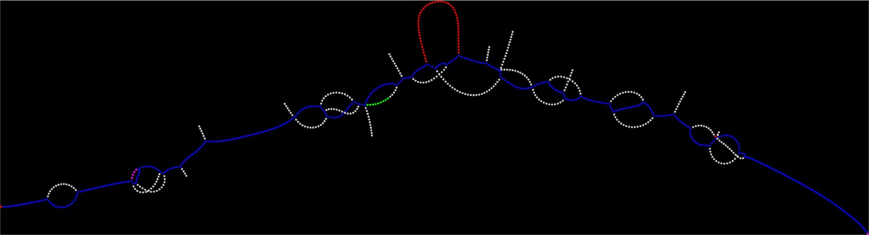 Colored de Bruijn graph from Lancet for a 400 bp region containing an insertion. Blue nodes are k-mers shared by tumour and normal, red nodes are k-mers found only in the tumour, green nodes only in the normal, and white nodes are low-coverage k-mers from sequencing errors.