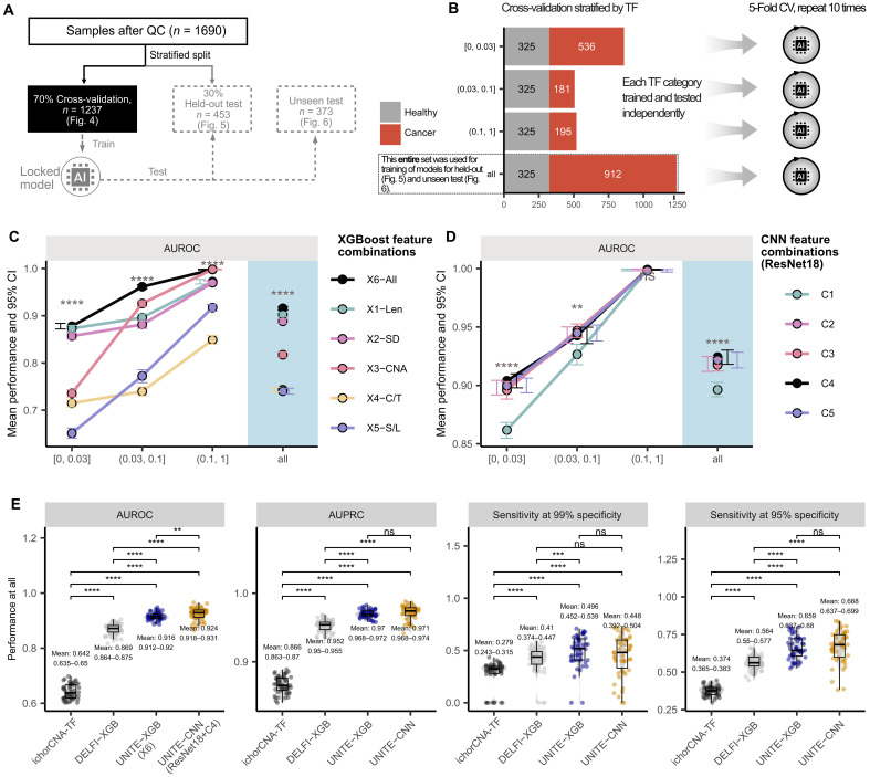 Five-panel figure from Wang et al. 2026. Panel A shows the 70:30 sample split; panel B the healthy and cancer counts per ichorCNA tumour-fraction stratum; panel C mean AUROC with 95% CI for six XGBoost feature sets across strata; panel D the same for CNN models; panel E AUROC, AUPRC and sensitivity at 99% and 95% specificity for ichorCNA-TF, DELFI-XGB, UNITE-XGB and UNITE-CNN without stratification