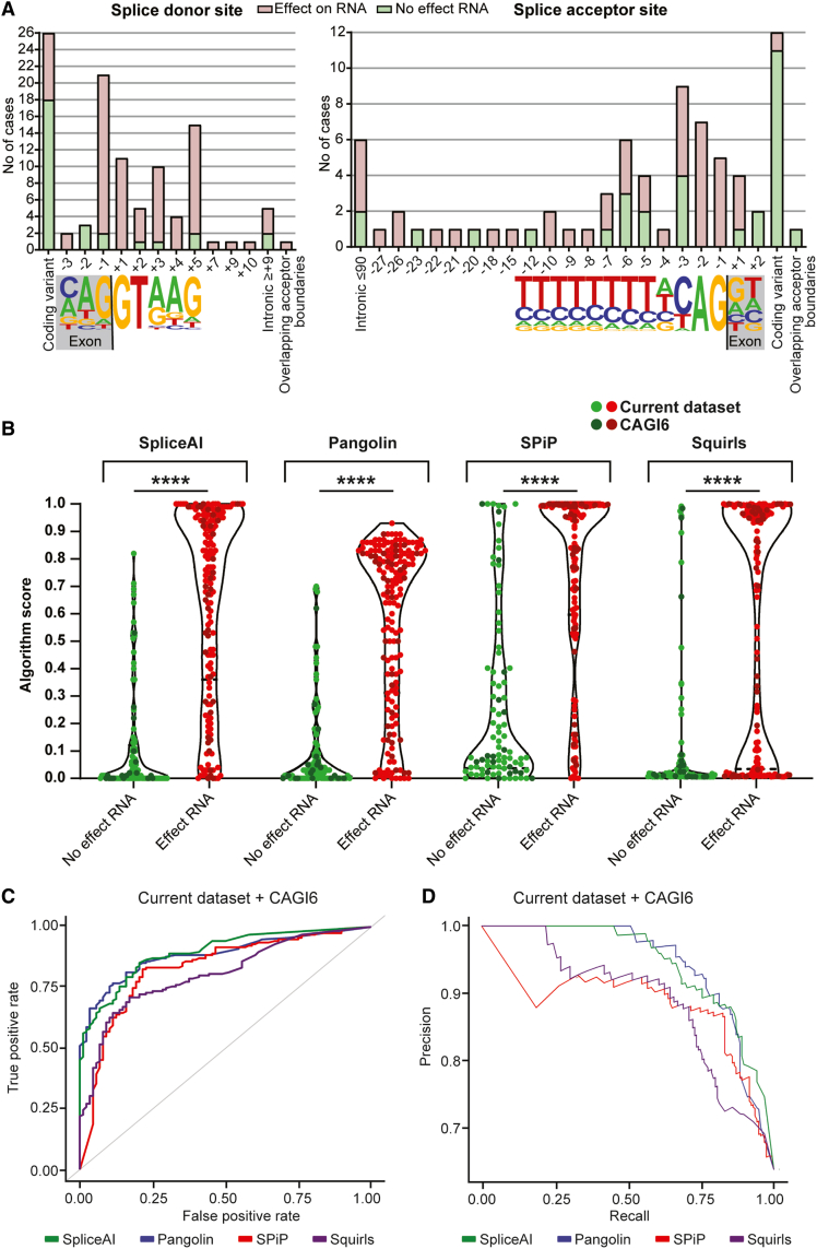 Four-panel figure from Drost et al. 2025. Panel A shows the positions of tested variants around donor and acceptor sites, coloured by whether RNA showed a splicing effect. Panel B shows violin plots of SpliceAI, Pangolin, SPiP and SQUIRLS scores for variants with and without an RNA effect. Panels C and D show ROC and precision-recall curves for the four tools on the merged set.