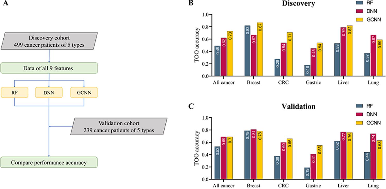 Three-panel figure from Nguyen et al. 2023. Panel A shows the model construction: 499 discovery patients with five cancer types, nine feature sets, three classifiers (random forest, DNN, graph convolutional network) and a 239-patient validation cohort. Panels B and C show bar charts of tissue-of-origin accuracy for each classifier by cancer type in the discovery and validation cohorts.