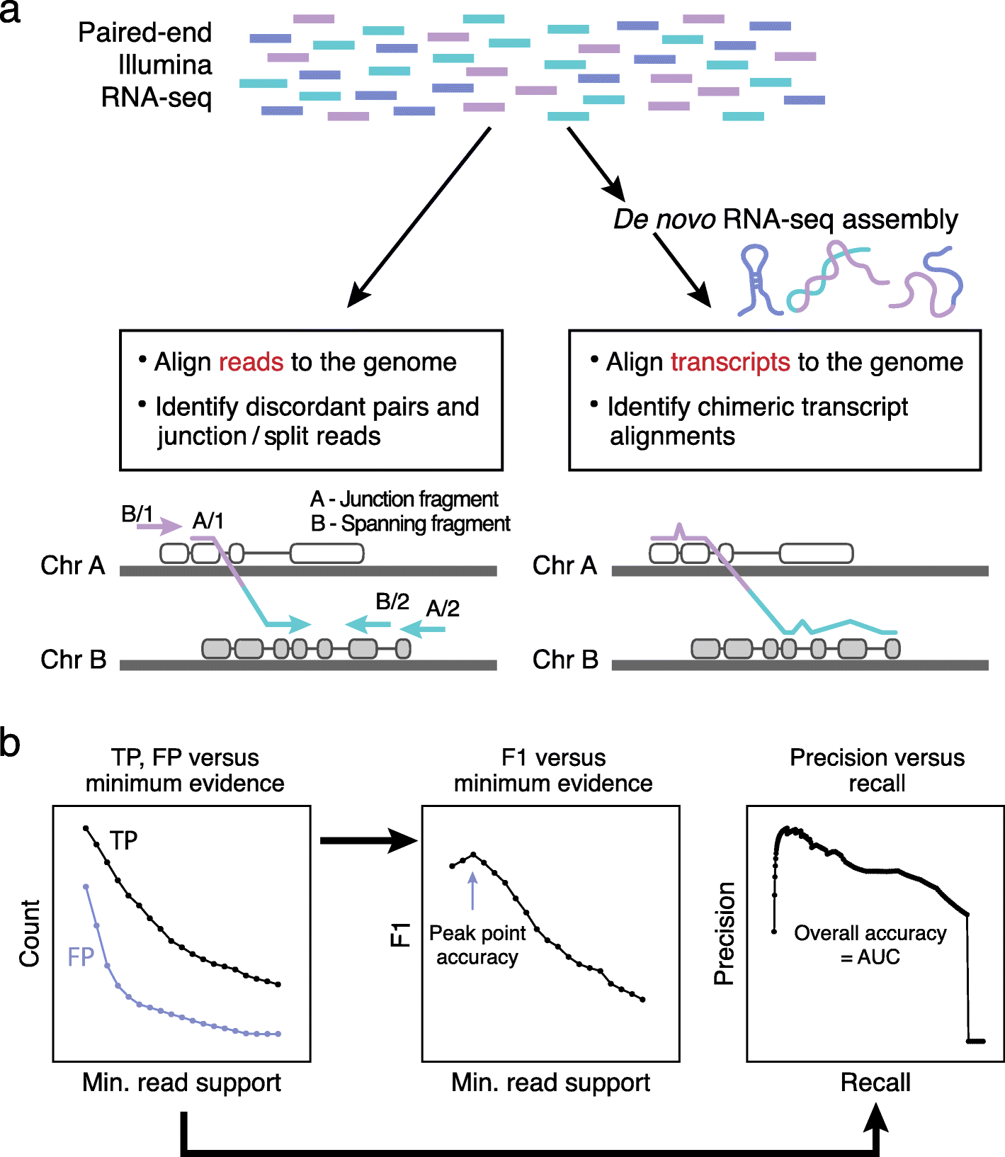 Two-panel figure from Haas et al. showing short reads either aligned to the genome to find split and spanning fragments, or assembled de novo into transcripts that are aligned to find chimeric transcripts, with a lower panel on scoring by minimum read support